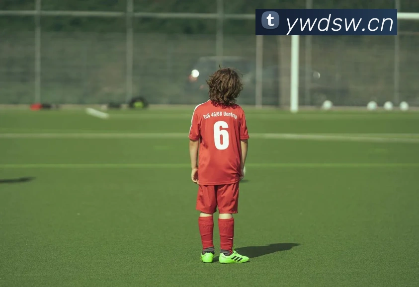 巅峰国标pg官网品牌故事