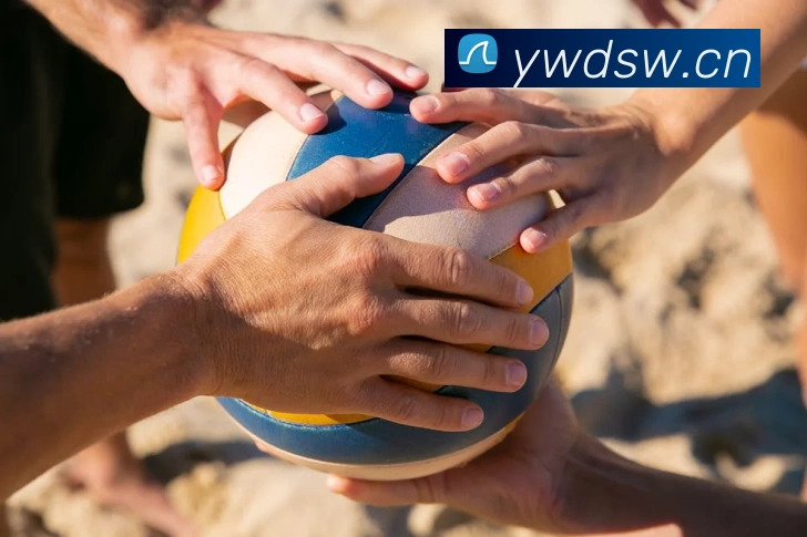 巅峰国标pg官网服务体系